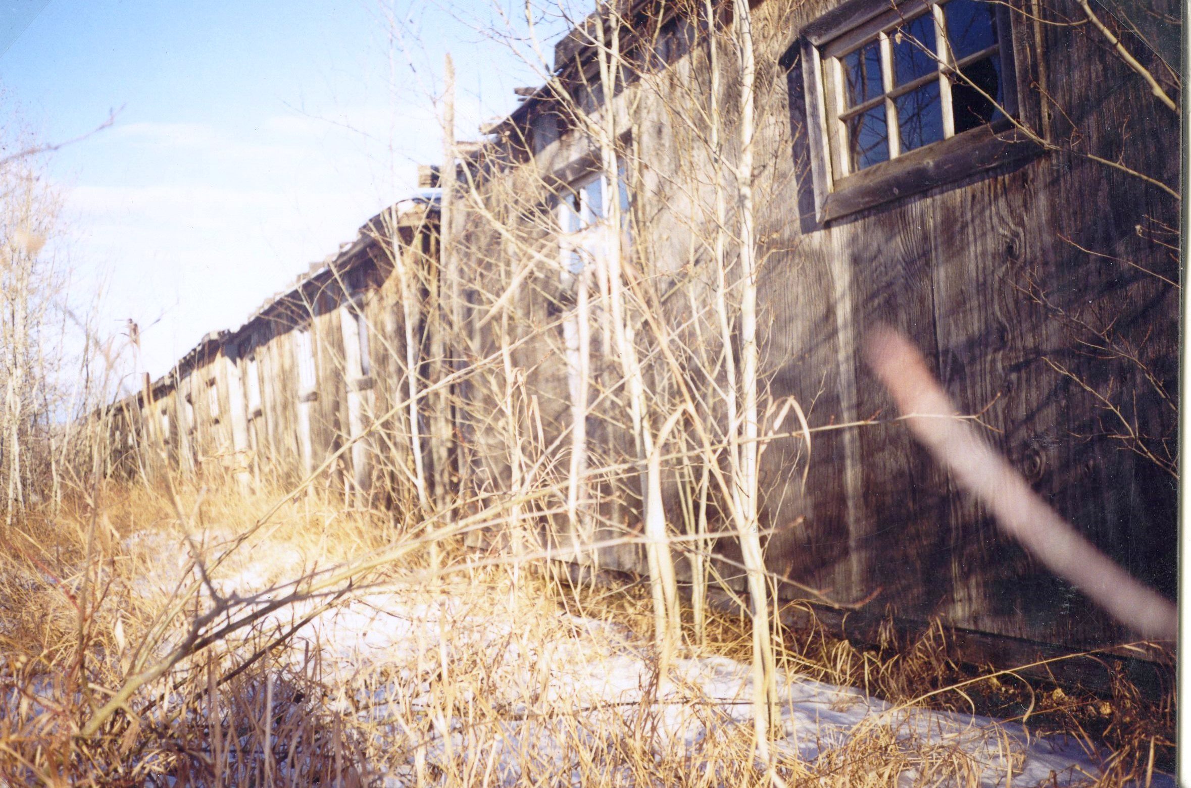 Colour photograph showing a line of wood-panels shacks with six-paned windows set high up on the walls.